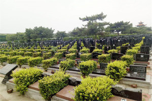 郑州市登封市嵩山公墓墓区环境图