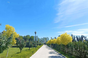 西安市临潼区殡仪馆骨灰堂园区环境图