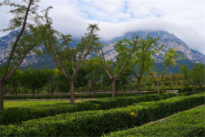 郑州市登封市莲花山人文纪念公园园区环境图