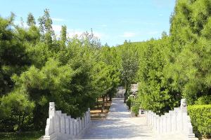西安市临潼区殡仪馆骨灰堂园区环境图