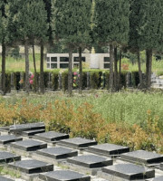 西安市高陵区奉正塬公墓传统卧碑墓型1号