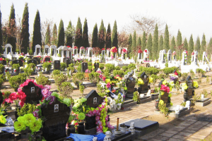 郑州市荥阳市青龙岗纪念园墓区环境图