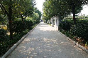 郑州市中牟县黄龙岗陵园园区道路图