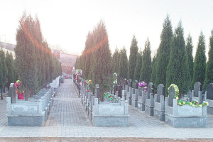 郑州市巩义市凤凰山公墓墓区环境图