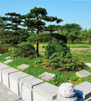 郑州市新郑龙湖镇河南福寿园生态葬花坛葬墓型4号