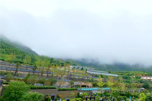 郑州市登封市少林连天公墓墓区环境图