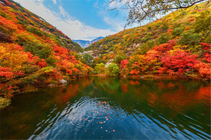 郑州市登封市莲花山人文纪念公园园区湖景图
