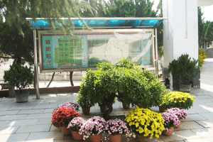 郑州市荥阳市青龙岗纪念园园区环境图