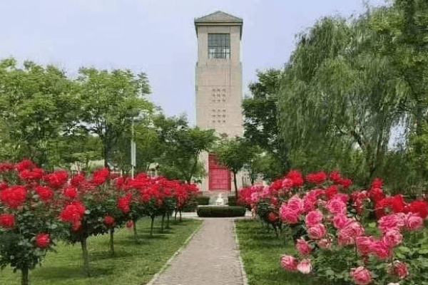 西安市高陵区奉正塬公墓园区环境图