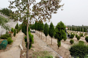 郑州市荥阳市北邙陵园墓区环境图