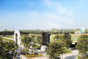 郑州市登封市嵩山公墓墓区环境图