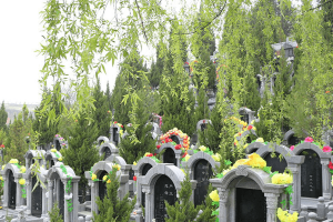 西安市雁塔区南郊骨灰寝园墓区环境图