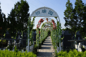 西安市阎良区汉皇树葬墓园怡瑞园图
