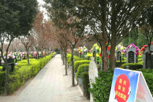 西安市临潼区骊山骨灰墓园墓区环境图
