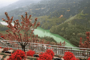 西安市长安区寿阳山墓园园区环境图