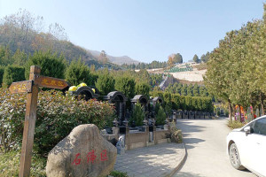 墓地信息网李先生对九龙山墓园的评价