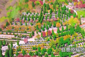 白鹿原公墓宣传片一