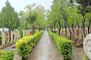 西安市临潼区骊山骨灰墓园墓区环境图