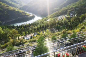西安市灞桥区高桥墓园墓区环境图