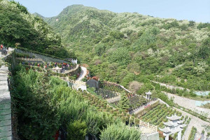 西安市鄠邑区九龙山墓园园区环境图