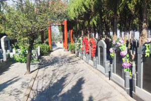 墓地信息网贾女士对高桥墓园的评价