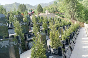 墓地信息网李先生对九龙山墓园的评价