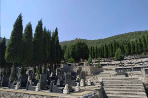 济南市市中区玉函山安息园墓区环境图