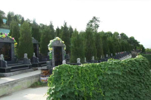 西安市灞桥区汉陵墓园墓区环境图