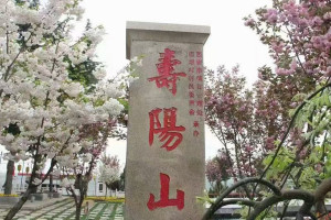 墓地信息网崔先生对霸陵墓园的评价