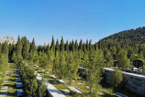 济南市市中区双峰山陵园墓区环境图
