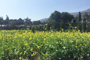 墓地信息网张先生对汉陵墓园的评价
