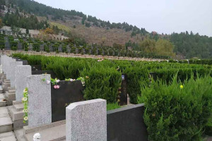 济南市历城区恭德陵园寿南山墓区环境图