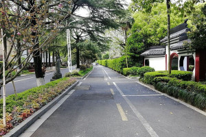 杭州市上城区南山陵园园区道路图
