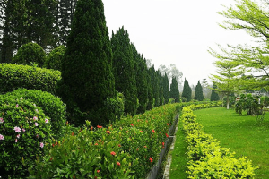 济南市市中区文山公墓园区环境图