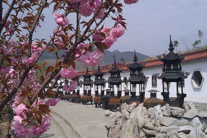 济南市历城区恭德陵园寿南山园区环境图