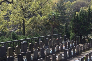 杭州市上城区南山陵园园区环境图