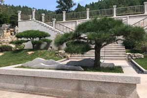 济南市长清区福寿园公墓园区景观图