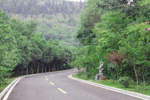 济南市长清区福寿园公墓园区道路图