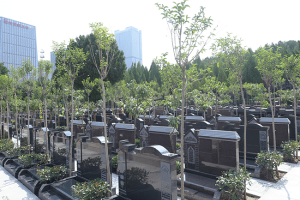济南市历城区玉顶山公墓墓区环境图