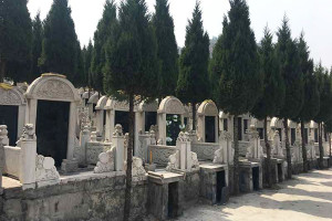 济南市历城区锦云川公墓墓区环境图