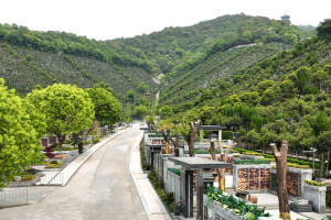杭州市拱墅区半山公墓墓区环境图