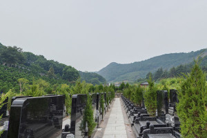 杭州市临平区印花坞公墓墓区环境图