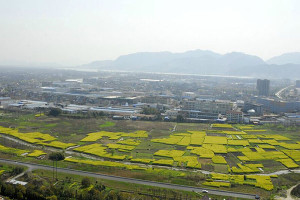 杭州市西湖区钱江陵园高空俯拍图
