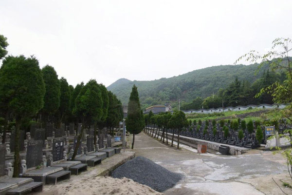 杭州市临平区印花坞公墓墓区环境图