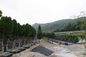杭州市临平区印花坞公墓墓区环境图