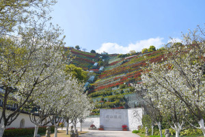 墓地信息网崔先生对钱江陵园的评价
