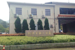 杭州第二公墓墓地类型的选择
