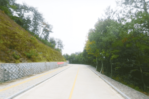 杭州市淳安县湖山公墓园区道路图