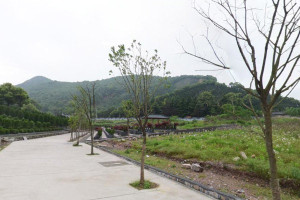 杭州市临平区印花坞公墓园区环境图