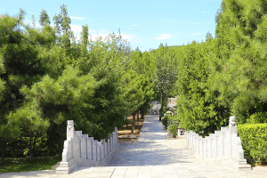 杭州市建德市桃坞公墓园区环境图